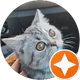 Sena Nur Cebeci profil fotoğrafı