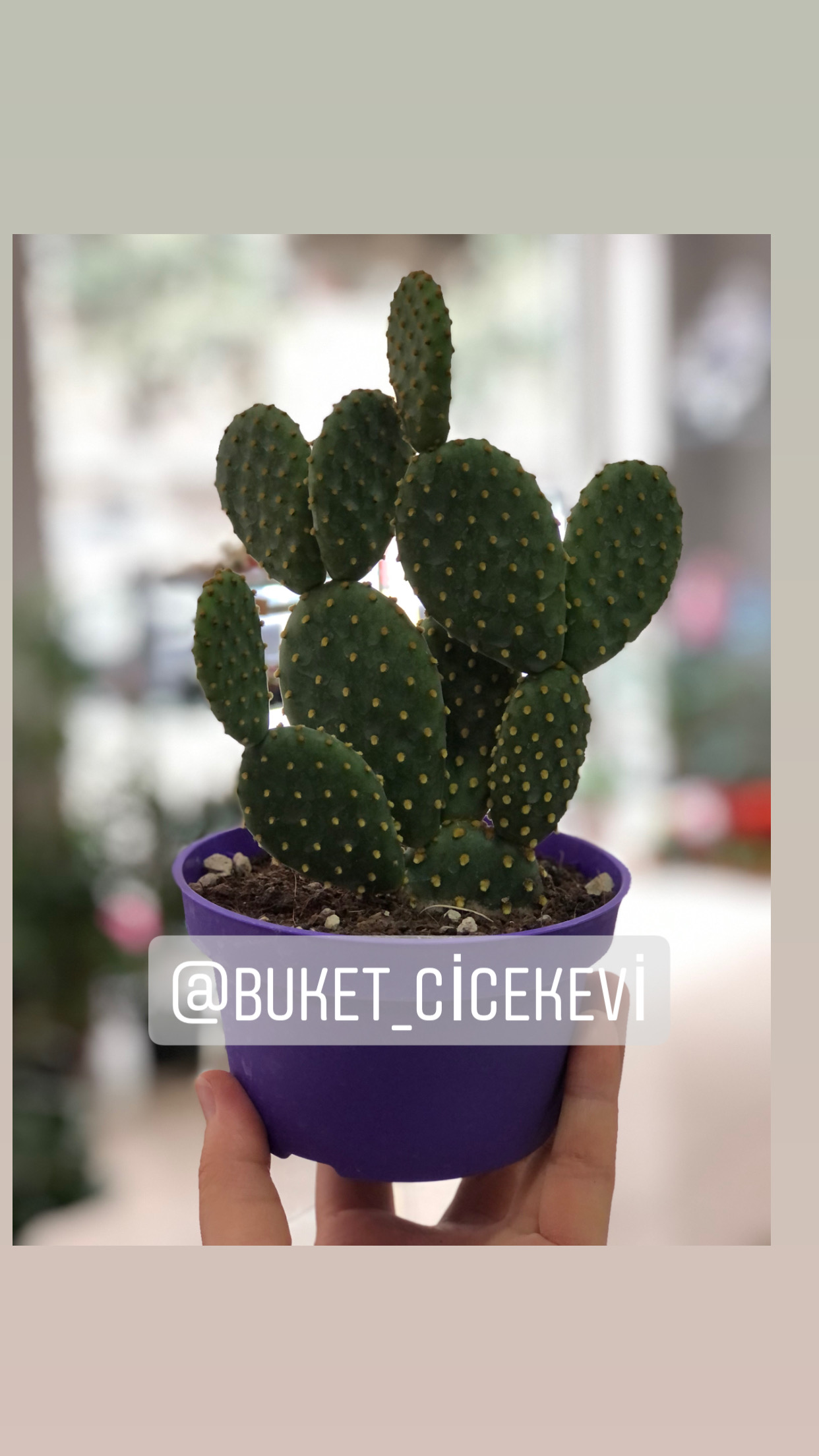 Buket Çiçek Evi