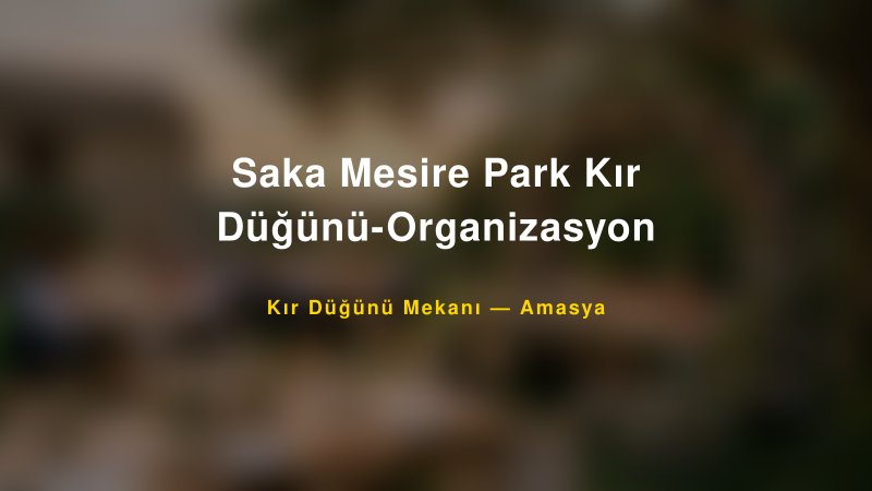 Saka Mesire Park Kır Düğünü-Organizasyon Amasya Kır Düğünü Mekanı