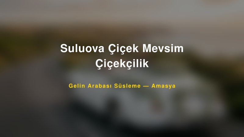 Suluova Çiçek Mevsim Çiçekçilik Amasya Gelin Arabası Süsleme