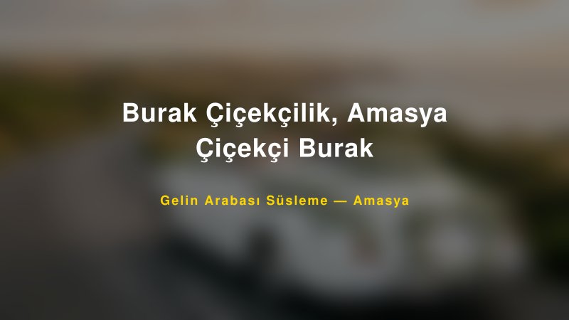 Burak Çiçekçilik, Amasya Çiçekçi Burak ile Trend Gelin Arabası Yazıları ve Konseptleri — 1