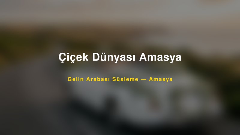 Çiçek Dünyası Amasya ile Trend Gelin Arabası Yazıları ve Konseptleri — 1